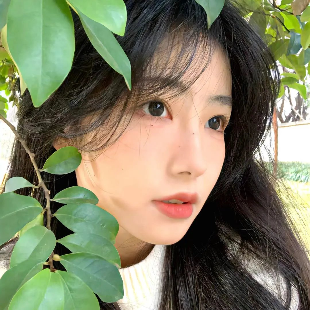 自由机器